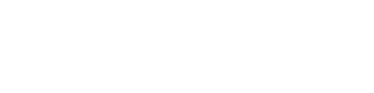 Logo Valius
